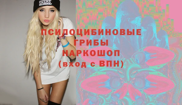 прущие крисы Кулебаки