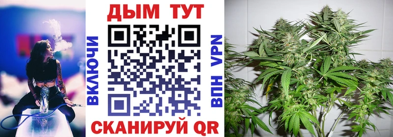 Конопля VHQ  Купить  Куровское 
